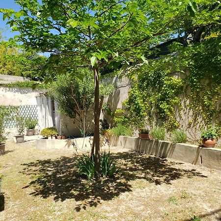 Appartement Au Coeur De Cassis Avec Jardin Zewnętrze zdjęcie