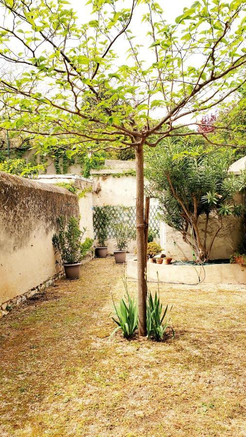 Appartement Au Coeur De Cassis Avec Jardin Zewnętrze zdjęcie