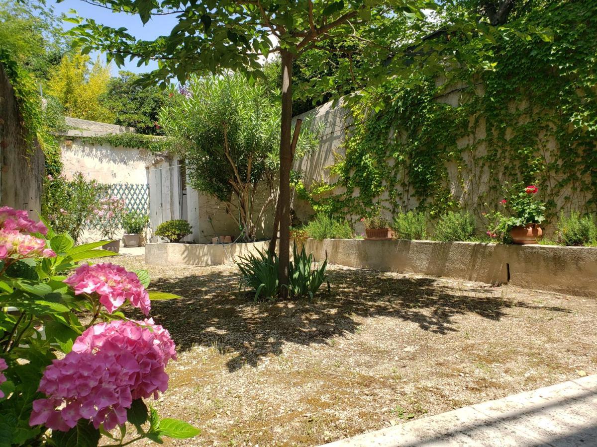 Appartement Au Coeur De Cassis Avec Jardin Zewnętrze zdjęcie